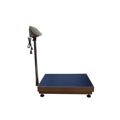 Échelle de banc en acier inoxydable de 450*600 mm 100kg-600Kg avec conception et support personnalisé