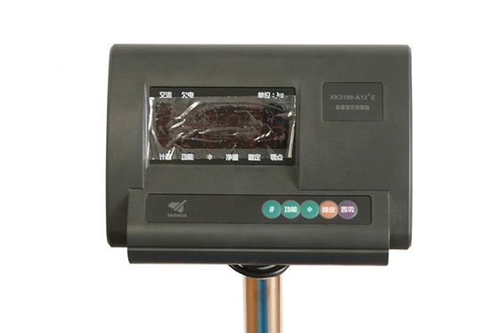 150 kg 250 kg 500 kg 600 kg poids électronique de la plateforme numérique de pesage