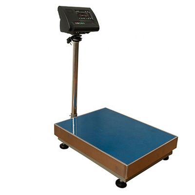 300*400 mm en acier inoxydable 600 kg Balance électronique avec alimentation 110/220v